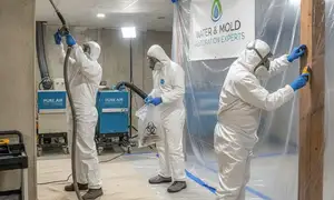 Torrance CA mold remediation service for water damage restoration specialists